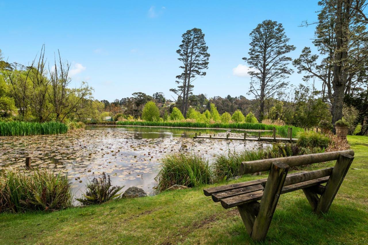 Parklands Country Gardens & Lodges Blue Mountains Blackheath Ngoại thất bức ảnh