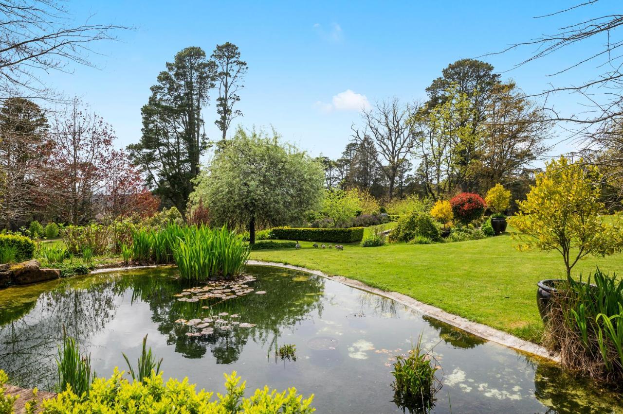 Parklands Country Gardens & Lodges Blue Mountains Blackheath Ngoại thất bức ảnh